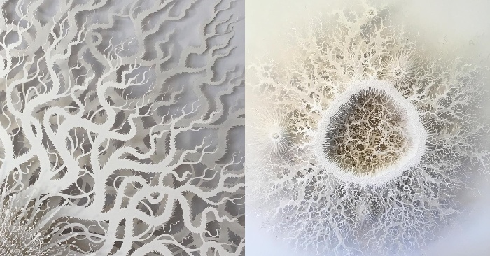  Interview: Paper sculptures that resemble microorganisms are hand-cut by an artist