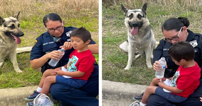  When the owner’s son went missing, the dog was found watching over him