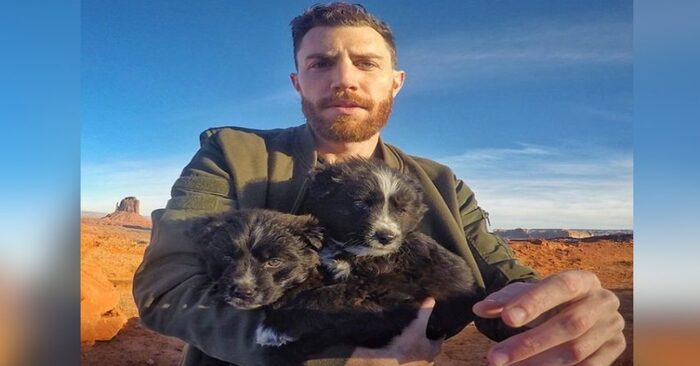  Puppies that a guy found abandoned in the desert have since gone with him halfway across the US