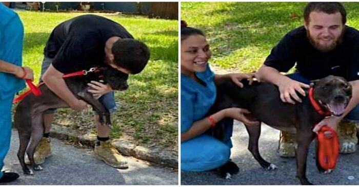  When a man is reunited with the dog he had to give up when he lost his home, he sobs