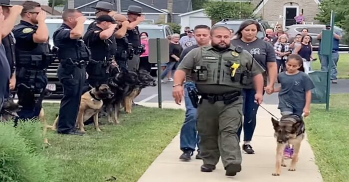  During his final walk, the respected police dog received his final honor from the officers