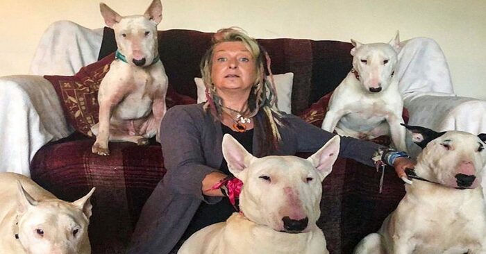  Woman’s husband forced her to choose between 30 dogs and him