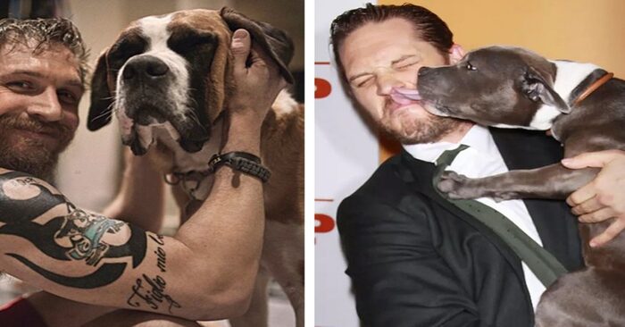  Check out Tom Hardy and his favorite puppies