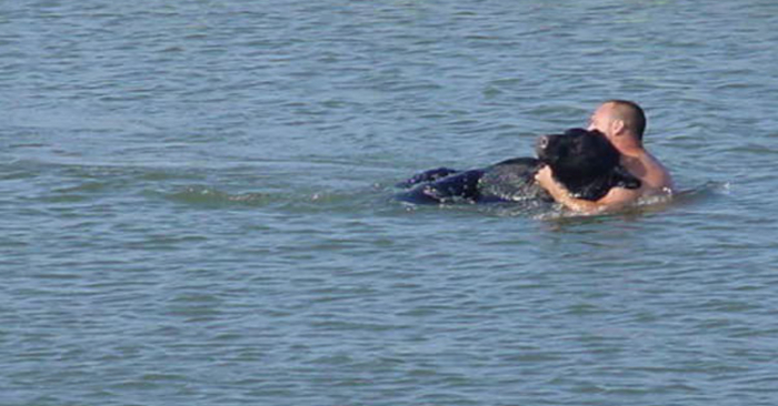  Watch as this brave man risks his life to save the 400-pound black bear that is drowning