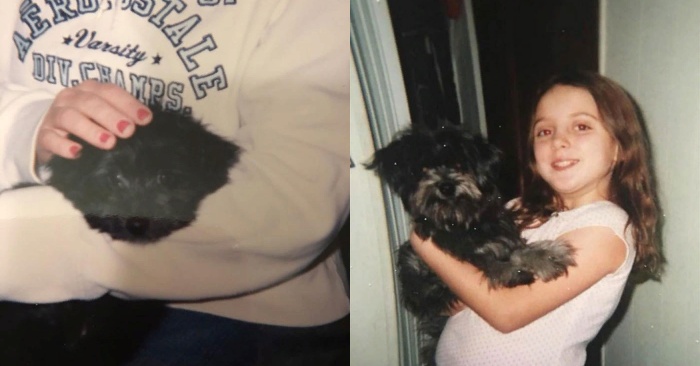  An interesting story: this woman took an old dog similar to her childhood puppy, but something was wrong