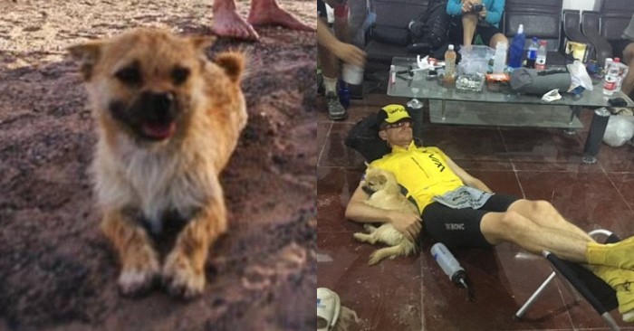  Marathon runner and homeless dog become inseparable pals