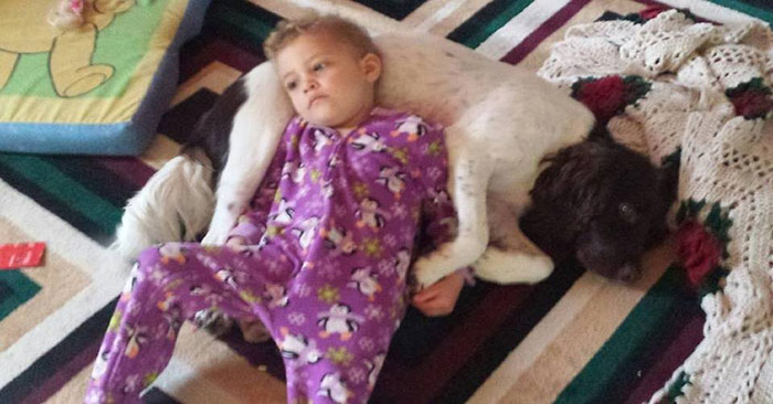  Every day, a dog that nobody wanted saves the life of an epileptic girl