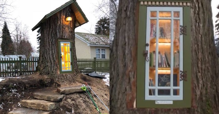  As if in a fairy tale: a creative woman turned an 110-year-old tree into a magic free library