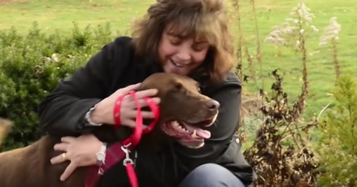  Verloren und gefunden: Hund dank Mikrochip nach fünfjähriger Trennung wieder mit Familie vereint